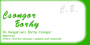 csongor borhy business card